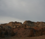 Thanksgiving 2008 136